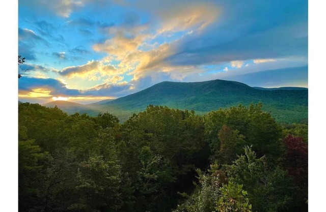 I LOVE VIEW - North GA - Cherry Log, Blue Ridge - Quiet, private, serene, relax