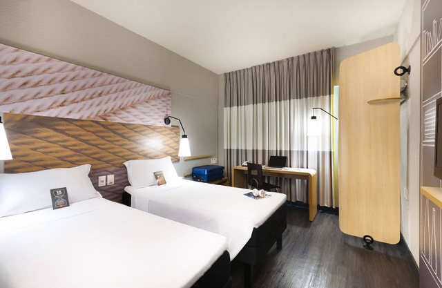 Ibis Teresina