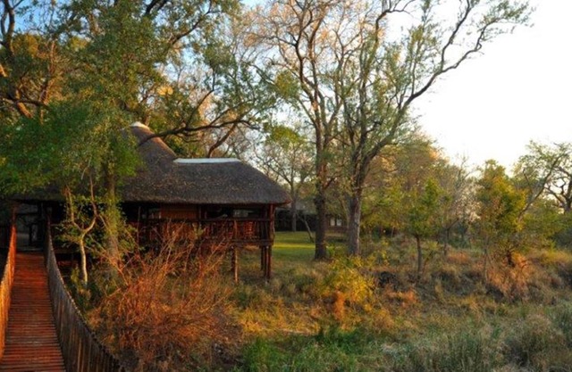Idube Game Reserve