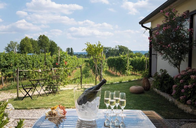IL GALLO DEL PROSECCO apartment in the heart of the UNESCO area Prosecco Hills