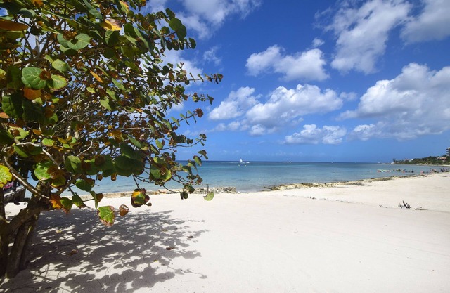 Incredible family friendly Beachfront Villa; Pool, Staff, amazing snorkeling
