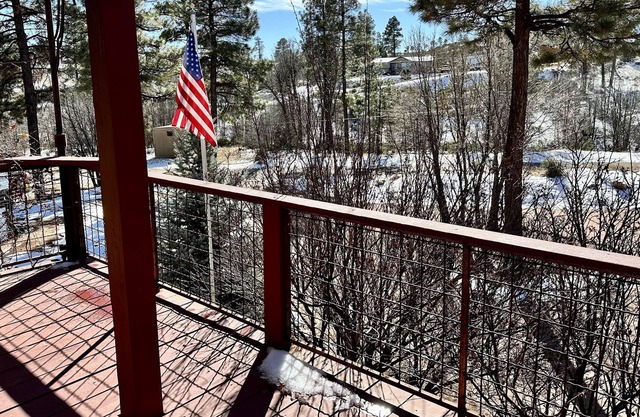 Incredible Privately Gated Cabin in Show Low Forest w/ VIEWS, Game/Toy Room!