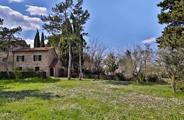 Casa Amiata: Large Charming Cottage on beautiful estate in Tuscany: Casa Amiata