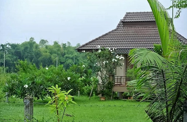 Jamjuree Garden