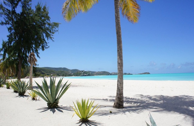Jolly Harbour -- Beachfront Property, 1 BR, 1 Bth, Wifi, garden path to beach