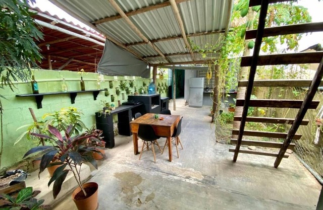 Jungla Bacalar