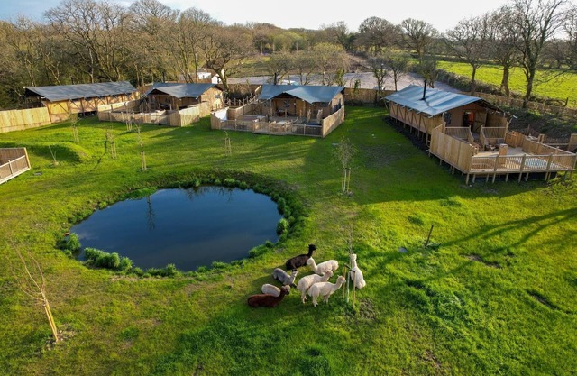 Jungle Book Safari Tent
