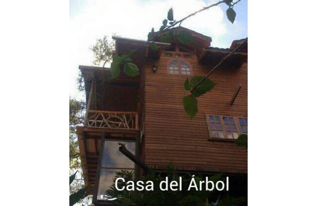Jungle Tree House 20 min airport SJ