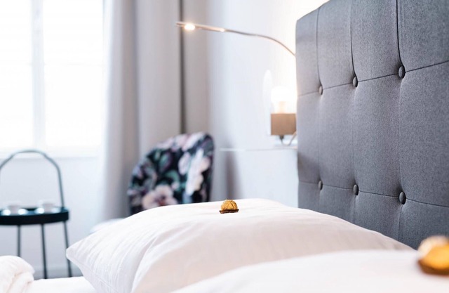 Junior Suite with air conditioning and private parking in the historic city centre with view