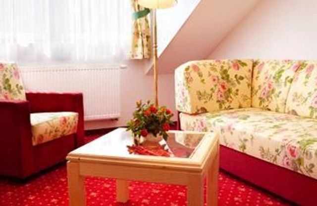 Junior suite "Elbblick", bath, WC - Elbhotel Bad Schandau