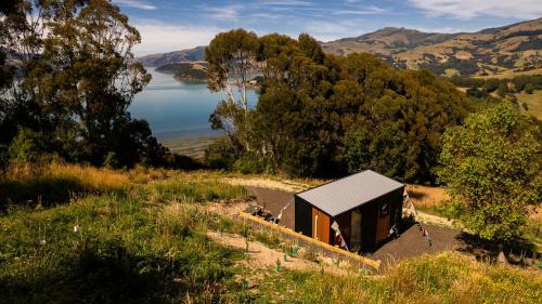 Kūkupa Puni at Akaroa Lavender by Tiny Away