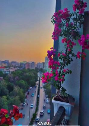 Kabul Five Star