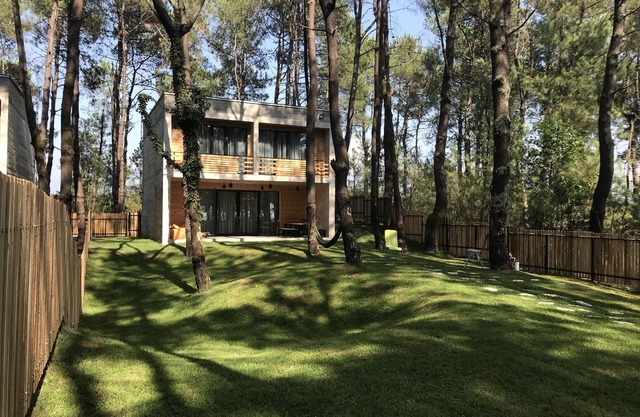 Kaprovani Pine Grove