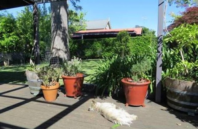 Kays Studio Fully Self Contained Accommodation in the heart of Berry