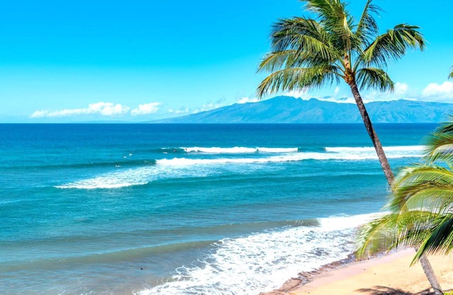 KBM Resorts | FREE CAR | Maui Kaanapali | Studio Villa! MKV-C255