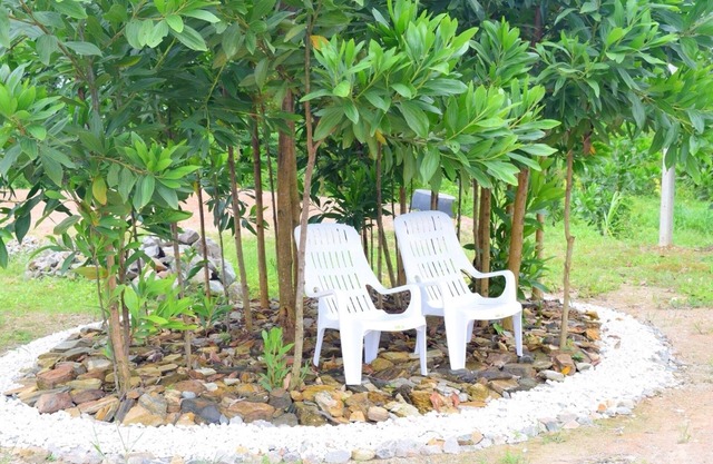 Khowbuysi View Resort