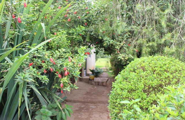 Kibale Eco Home