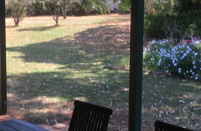 "Kingaroy Short Term Rentals" -The Ranch