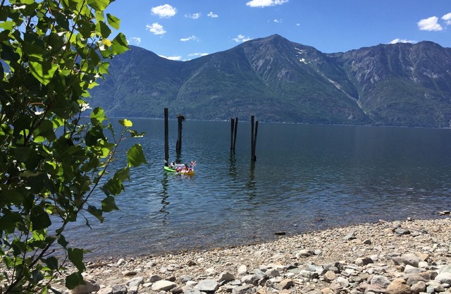 Kootenay Lake Lodge -Cabin for 2 guests- only two minute walk to the water !