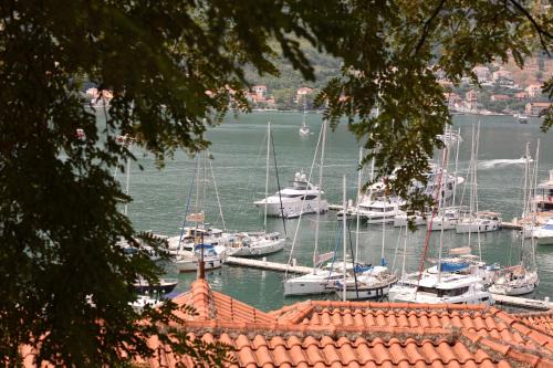 Kotor Lovers