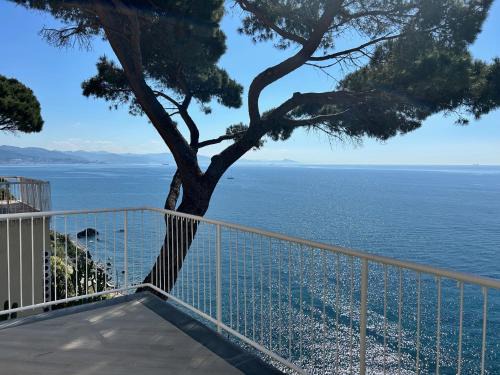 L'Íle D'Azur