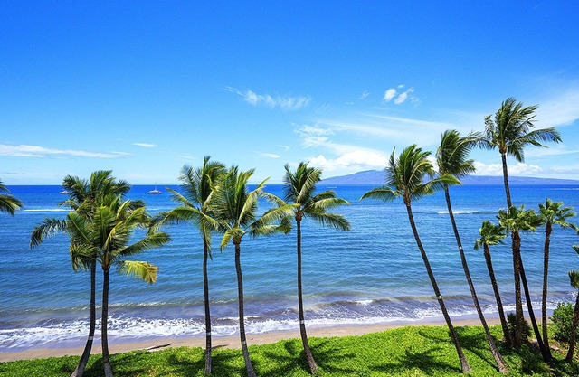 Lahaina Shores 533: Romantic Oceanfront Studio