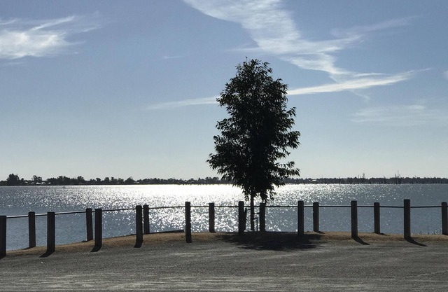 Lake Breeze Yarrawonga overlooking Lake Mulwala