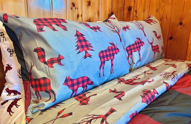 Lake Escape Cottage on Pickerel Lake Can Sleep 6