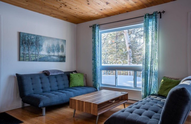 Lake front in the woods. Newly furnished with SPA