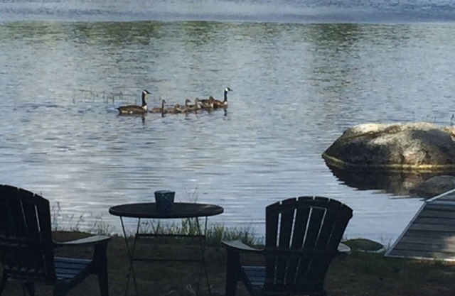 Lake Life Lodge- enjoy Maine Lakefront Luxury on Branch Lake! n
