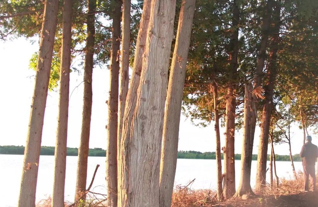 Lakeview Campsite H
