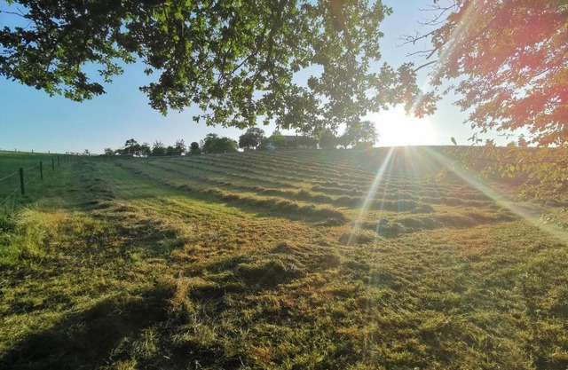 Landliebe