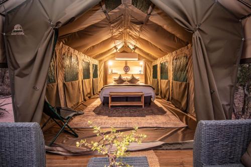 Langa Langa Safari Camp - Inc 2 Kruger Safaris Daily