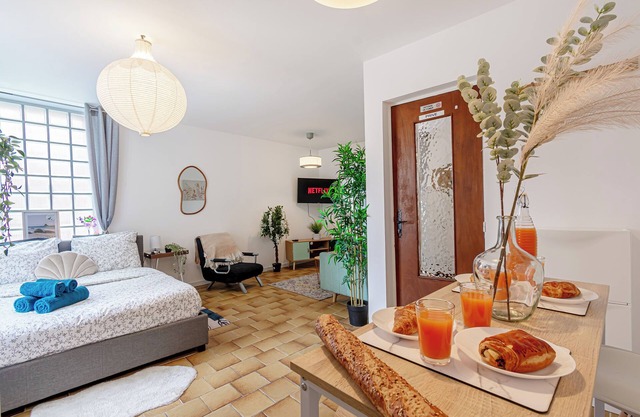 Large studio, well-equipped/CDG airport/Disneland Paris/le Bourget/Villepinte