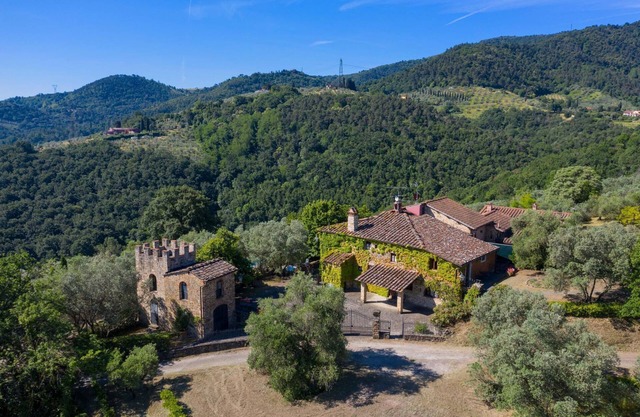 Large villa near Florence on Wine Estate