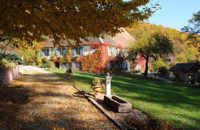 Le Schaeferhof