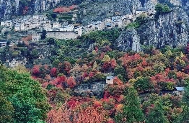 Les Chardons - ROUBION