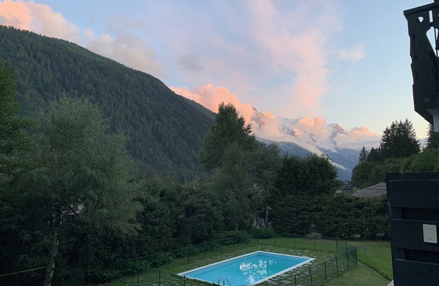 Light in chalet apartment, beautiful view of Mont Blanc, 200m from the slopes