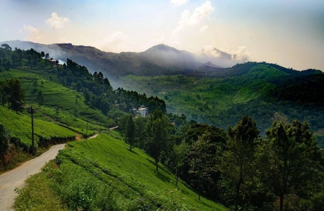 Linten Holiday Resort, Property set in Munnar.4.7km from MUNNAR