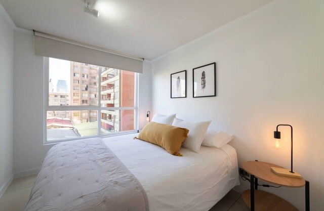 Live a Unique Experience in Santiago Centro