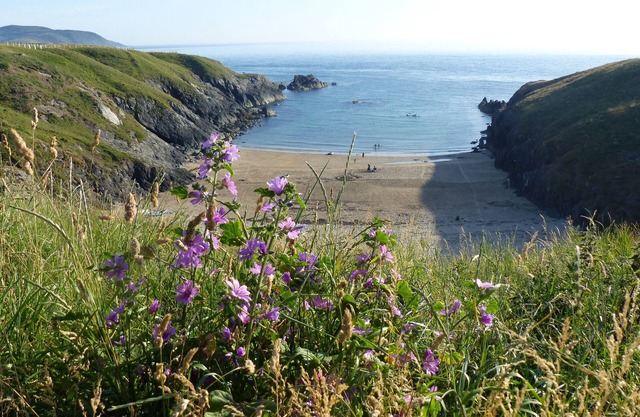 Lleynholidays - Cae Garw cottage nr Abersoch with stunning sea views