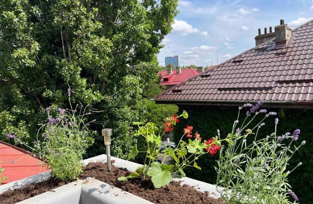 Loft Villa Floreasca