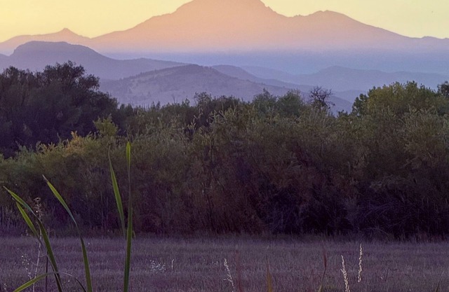 Longmont Getaway with Private Entrance
