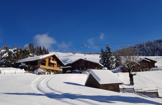 Loue Appartement dan Chalet SUR les Pistes de ski de L'espace Diamant