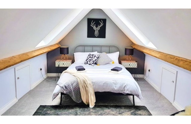 Louis & Ella's Apartments for large groups!