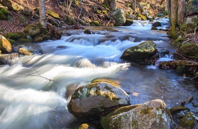 Love Shack: Pet Friendly, Free Attraction Tickets, Hot Tub, Creek Views