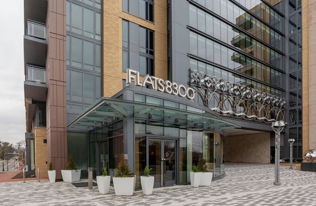 Lovely 1BR in Bethesda, Gym + Amenities