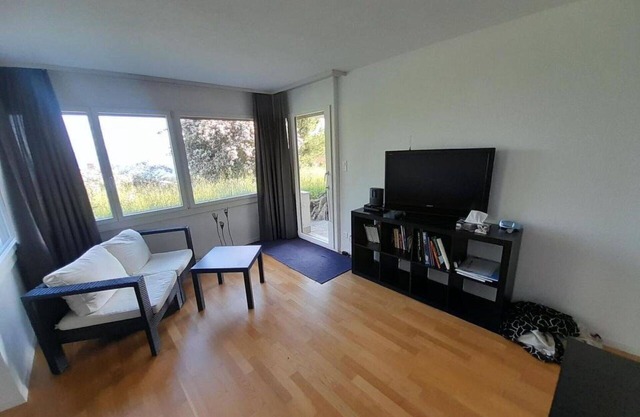 Lovely apartment for 2 guests with internet and TV