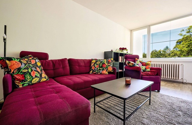 Lovely apartment for 4 guests with WIFI, TV, balcony and pets allowed