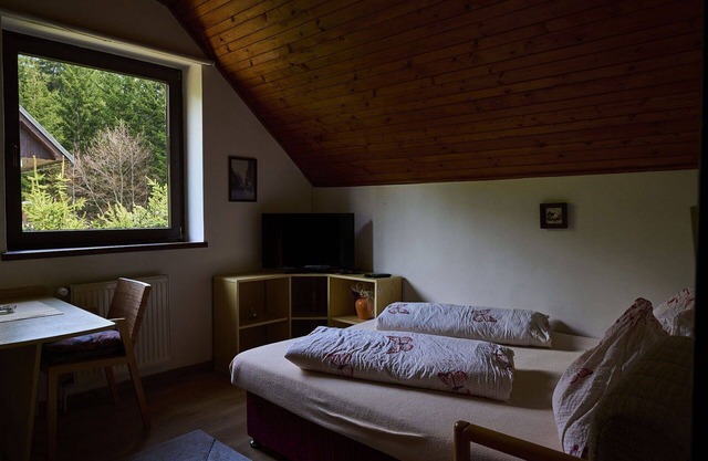 Lovely apartment for 4 guests with WIFI, TV and pets allowed